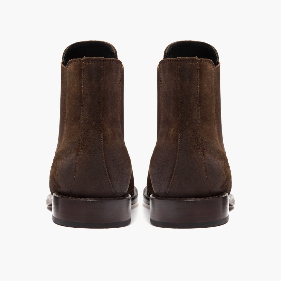 [S] Cavalier | Dark Brown